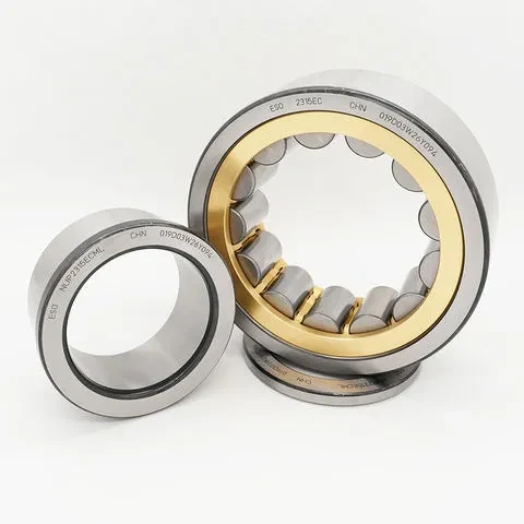 ESO NU313ECP/C3 Cylindrical Roller Bearing for New Energy Vehicle